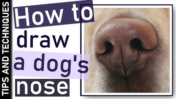 How to draw a realistic dog nose in pastels