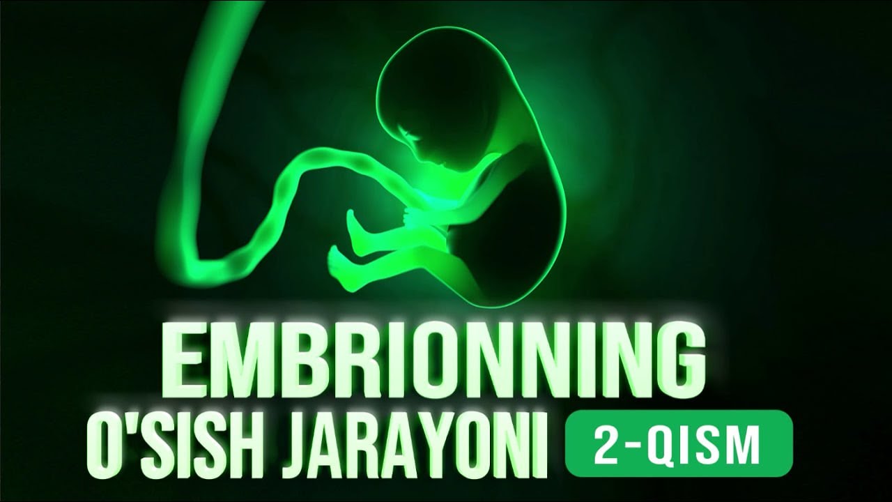 Embrionning o‘sish jarayoni 2-qism | Allohning mo'jizalari 17-son