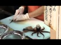 Squid Sashimi - Gutting and Cleaning a Fresh Squid