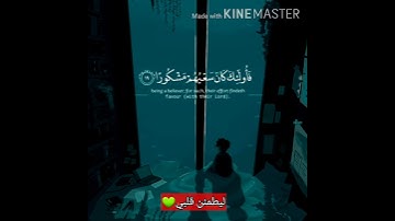 قران كريم بصوت الشيخ /سعد الغامدي 💚اجمل حالات واتس اب دينيه