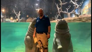 Adventure Aquariums Hippo Q&A