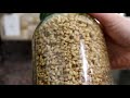 How To Make Sprouted Grain Flour - SO EASY!