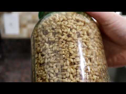 Video: How To Cook Sprouted Wheat