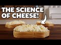 How does Milk turn into Cheese?