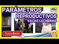 Charla en vívo - PARAMETROS REPRODUCTIVOS en VACAS LECHERAS