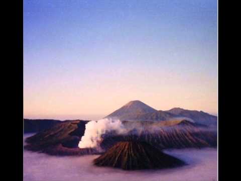 Shalabi Effect — We'll never make it out of here alive - Shalabi effect