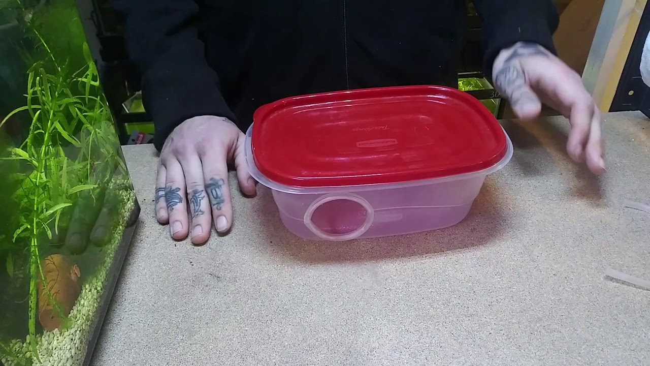 Sea Jay's Aquatics How to make a humidity box for reptiles YouTube