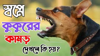 স্বপ্নে কুকুর কামড়ালে কি হয় | স্বপ্নে কুকুর কামড় দিলে কি হয় | স্বপ্নে কুকুর আচর দিলে কি হয় | screenshot 1