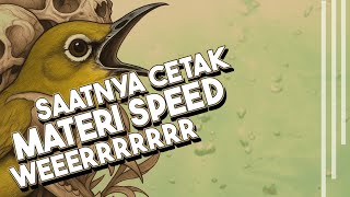Masteran Pleci Kekinian Materi Tembakan Speed Panjang