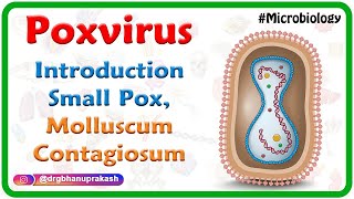 Poxvirus Microbiology USMLE : Small pox, Molluscum contagiosum