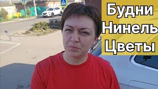 Будни Нинель. Весенние работы на клумбе.