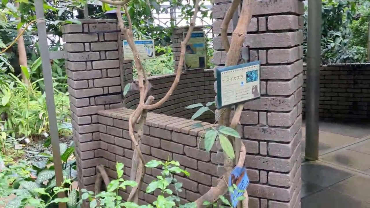 小田原フラワーガーデン　トロピカルドーム