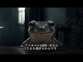 アマガエルは飼いません。うるさ過ぎるからです。