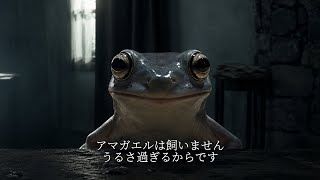 アマガエルは飼いません。うるさ過ぎるからです。