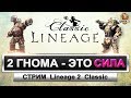 LineAge 2 classic. Сервер Shillien стрим (Два гнома - это сила!) #7