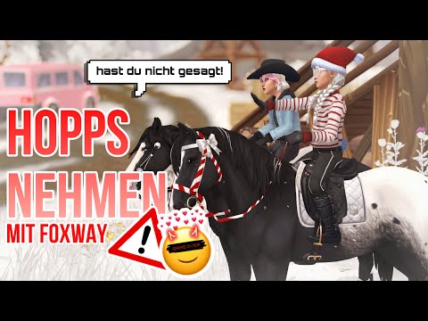 TÜRCHEN 9 ⛔️ 10 ARTEN VON SSO YOUTUBER mit @mrsfoxway ● STAR STABLE [SSO]