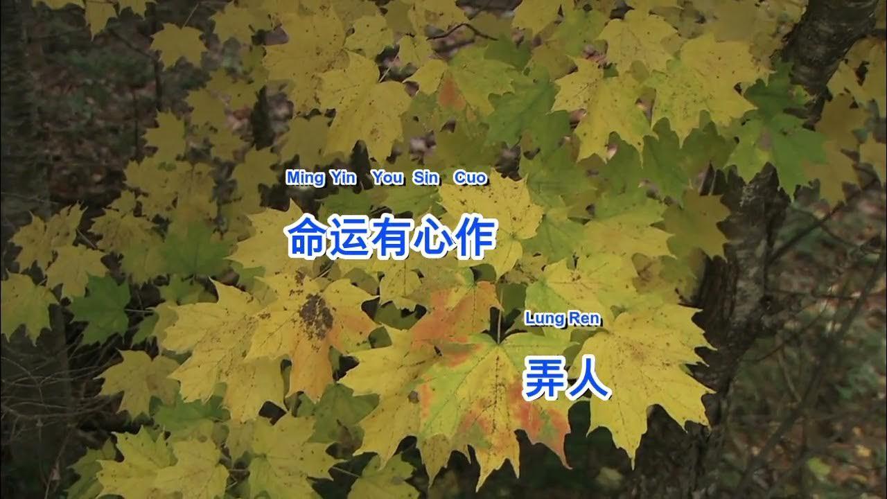 Wu Yen Ti Teng Karaoke YouTube news5-on-twitter-frontlinetonight-in-demand-ngayon-sa-japan-ang
