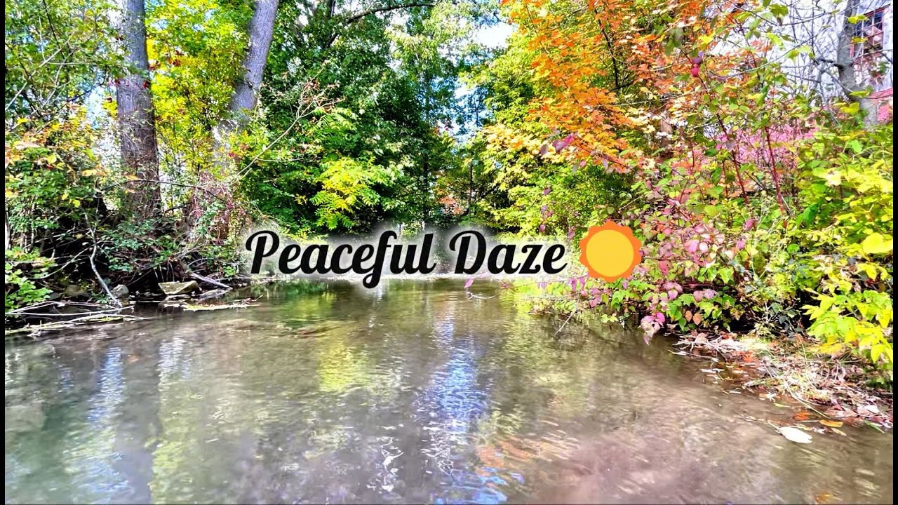 Autumn Creek Reflections Real Fall Ambience 8hr — Peaceful Daze☀️
