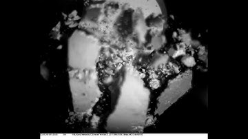 Collision of cm-Sized Dust Agglomerates