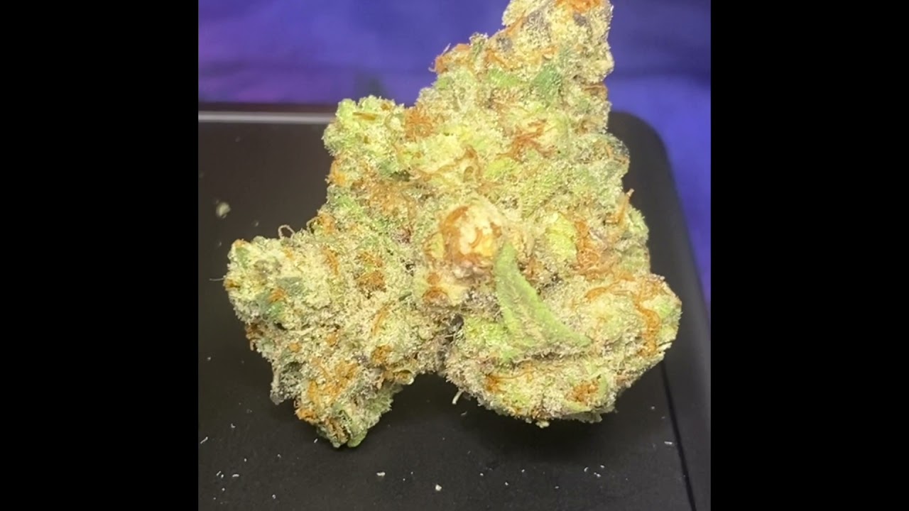 HIGH OCTANE OG Review BY CAM , CAM IN CALI , review by @cali_bud_reviews IG: cali_bud_reviews