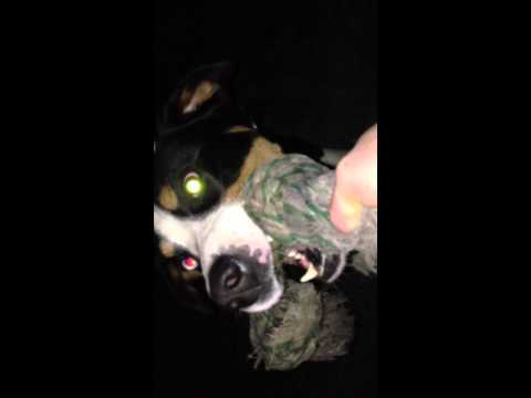 hilfe-da-ist-ein-monster-im-garten