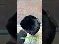 Жумшак женский Калпачок буктоп чонтоко салып алса болот мехи Отборный Катталучуларга Скидка болот.