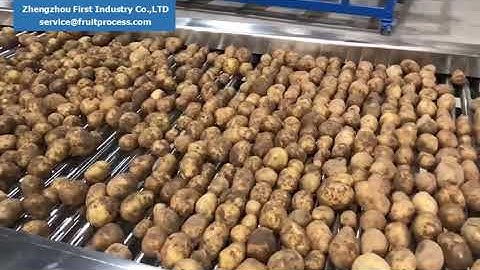 minituber sorting machine, small potato grader