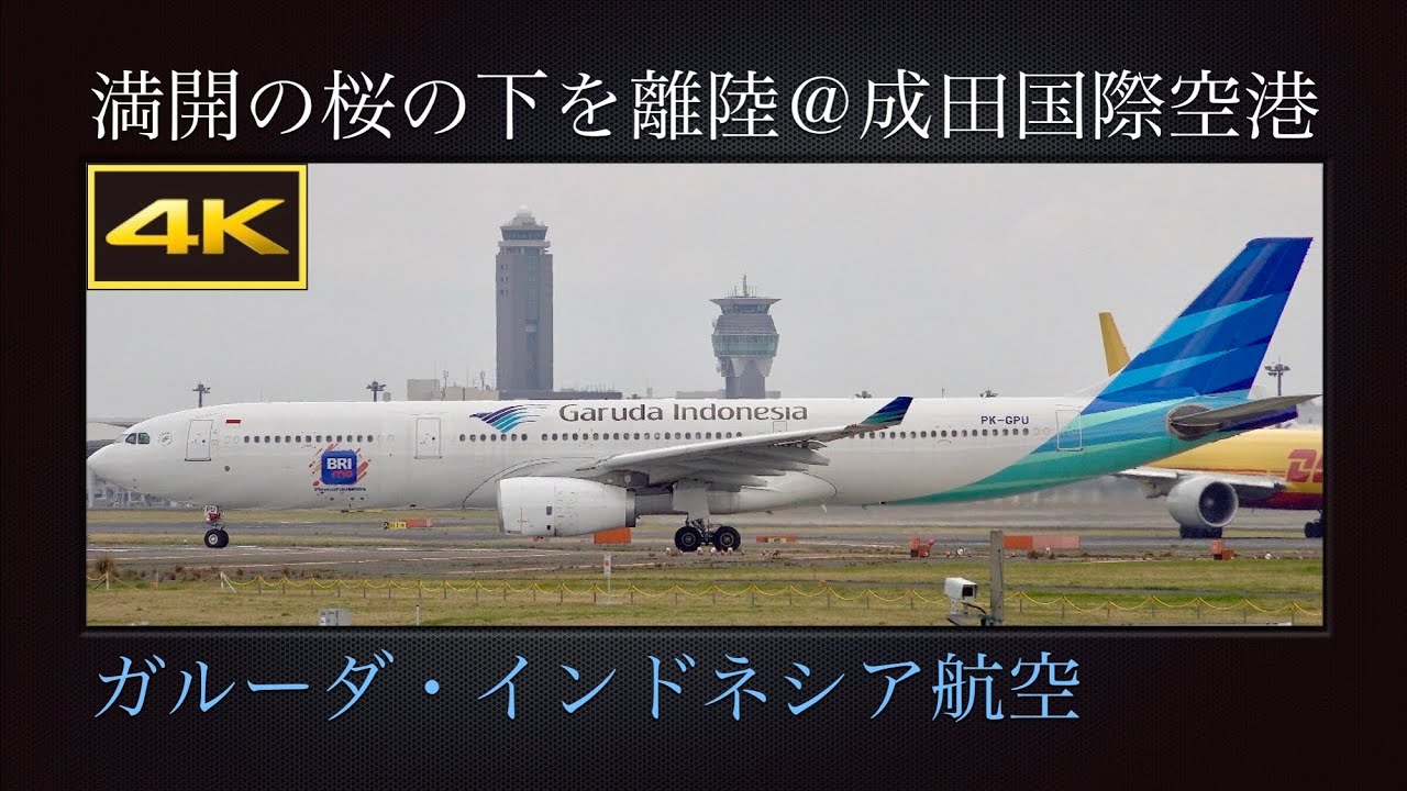 ガルーダインドネシア航空 Airbus330-