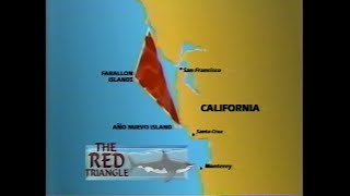Sharks of the Red Triangle (1995)