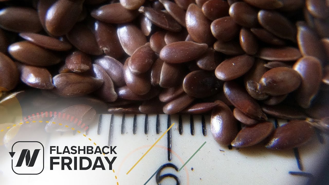 Flashback Friday Flax Seeds for Hypertension YouTube