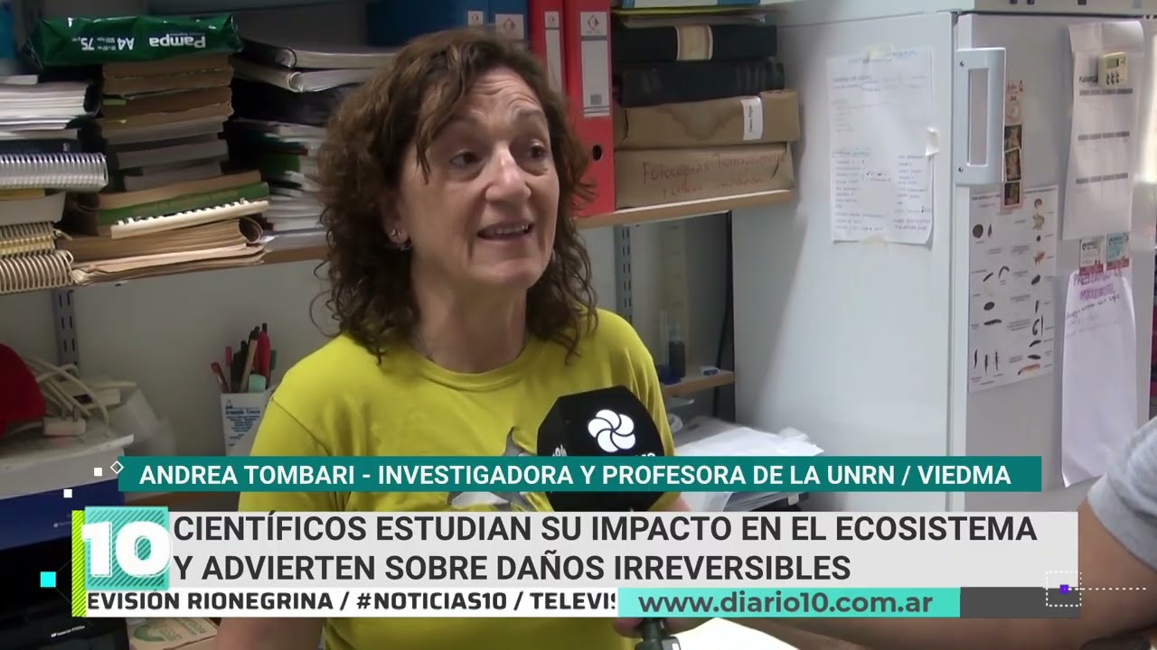 Hallan una especie exótica de pez en Río Negro