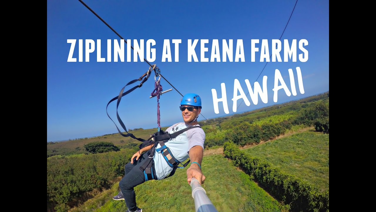 Zipline Tour With Climb Works Keana Farms Kahuku Hawaii Ziplining Zipline Tours Farm Tour Zipline Tour With Climb Works Keana Farms Kahuku Hawaii Ziplining Zipline Tours Farm Tour