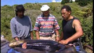 KaiTime_S8_Wharekauri Tuna.wmv