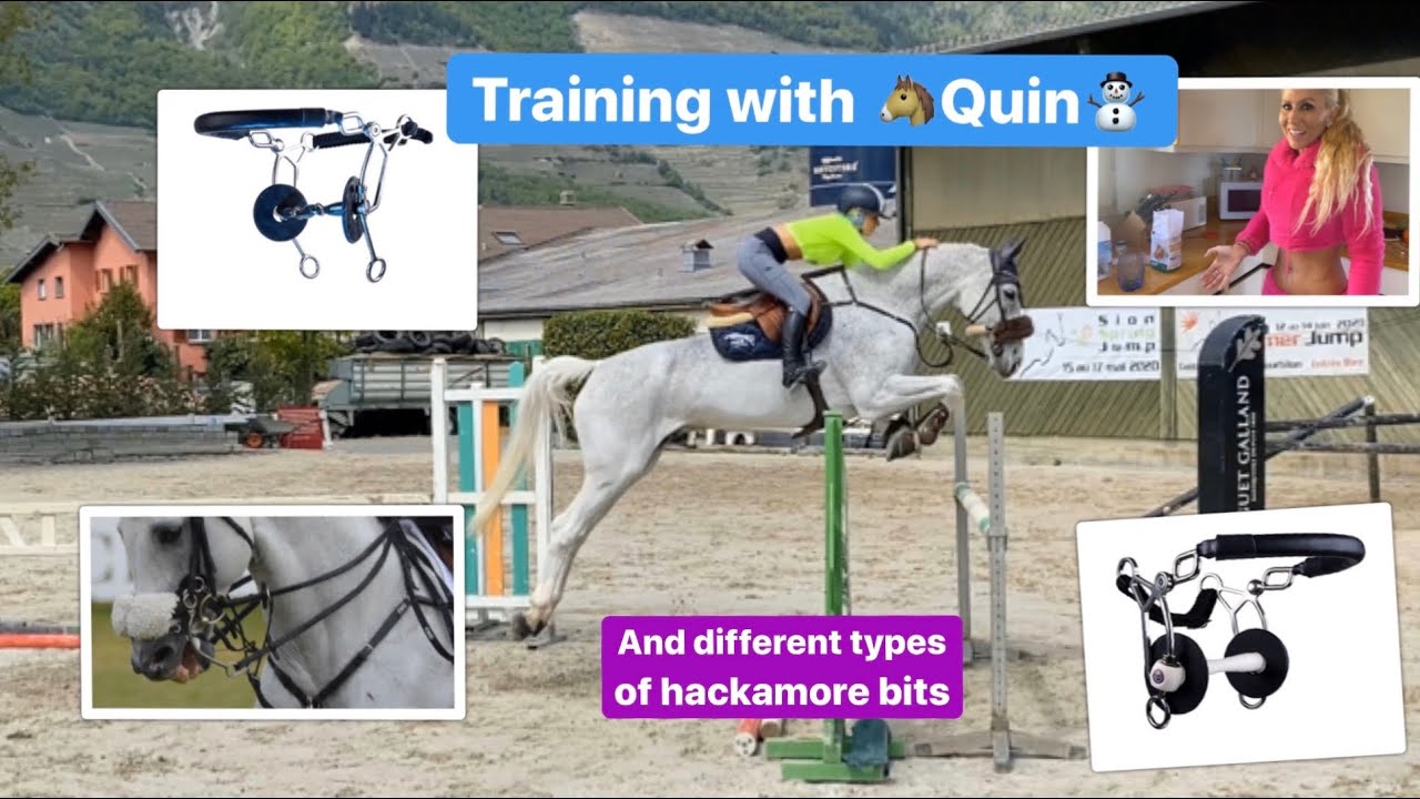 DIFFERENT TYPES OF HACKAMORE BITS AND TRAINING WITH QUIN YouTube