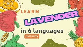 Learn Lavender (薰衣草/Lavanda/Lavande/Lavendel/Lavanda) in 6 Languages - Easy!