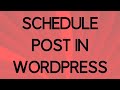 How to Publish Post at Specific Time and Date