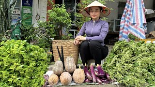FULL VIDEO: 60 Days of harvesting squash, eggplant, longan, and grapefruit to sell at the market