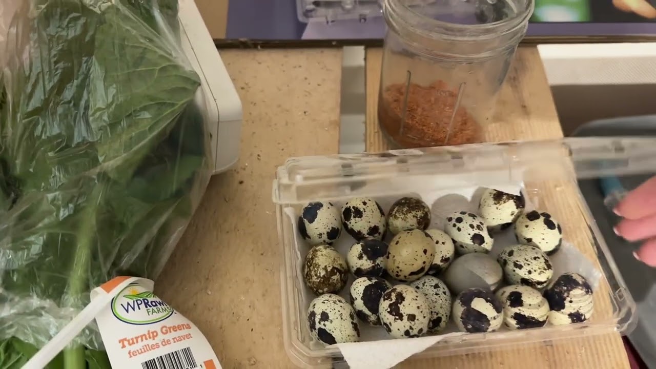 Перепелиный мини-влог: яйца, зелень и находка для подстилки☘️