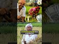 सप्ताह की प्रमुख कृषि खबरें #faifa