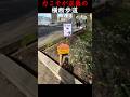 力こそが正義の横断歩道