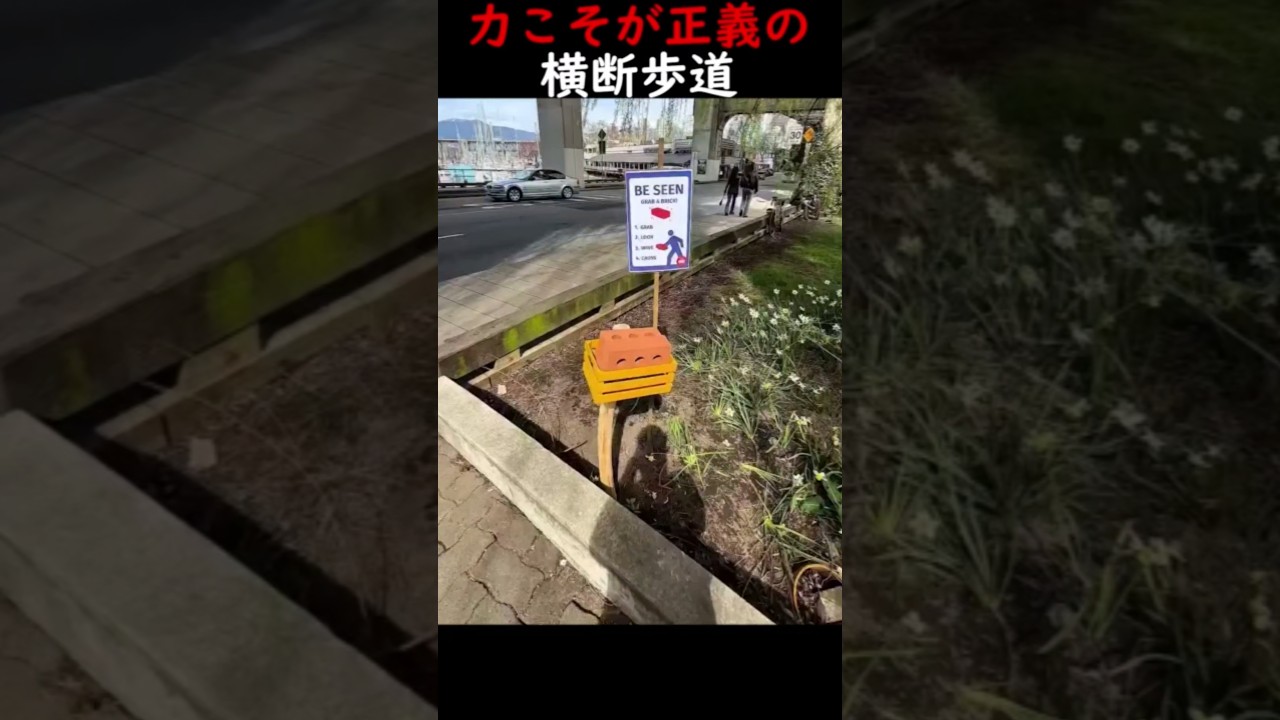 力こそが正義の横断歩道