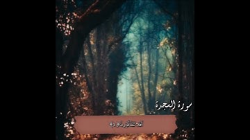 حالات واتساب قرآن| سورة السجدة