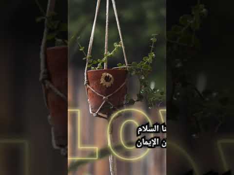 وياكي دق الفرح بابي