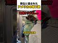 野生に侵されたニューヨーク地下鉄