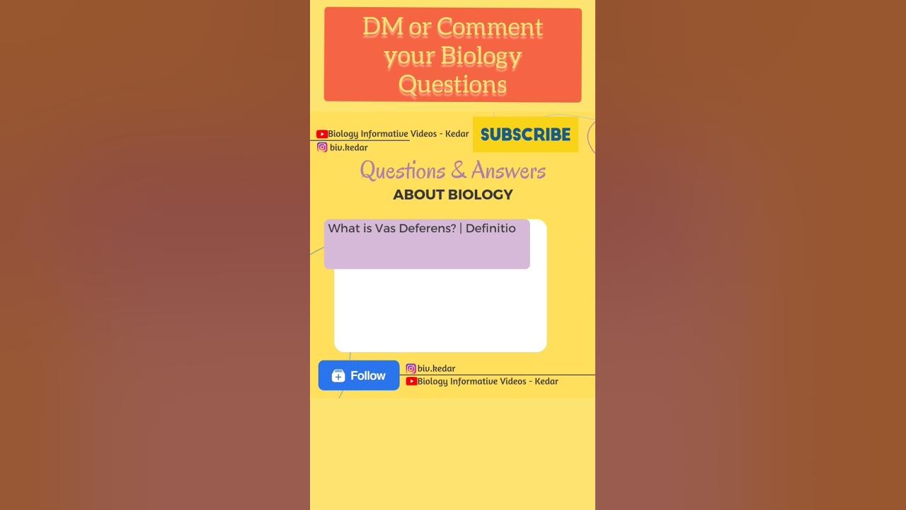 What is Vas Deferens ? Definition of Vas Deferens shorts biology 