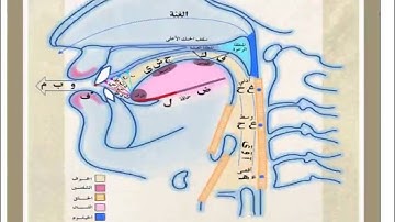 دورة تجويد للمبتدئين والأطفال (21- إدغام المتجانسين الصغير)الشيخ محمد حامد مدنى