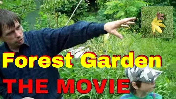 Forest Garden THE MOVIE #permaculture #agroforestr...