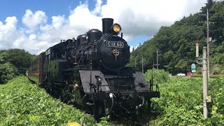 『C1266＋50系客車・快速 SLもおか』2023/8/14(真岡鐵道・笹原田駅～天矢場駅｢第五益子街道踏切｣) #SLもおか #SLもおか号 #真岡鐵道 #真岡鉄道 #C1266