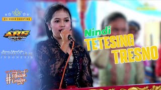 Tetesing Tresno  Nindi  Krawitan Mudho Laras  Ovs Hd  Ars 