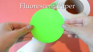 Color Code 4” Fluorescent Labels